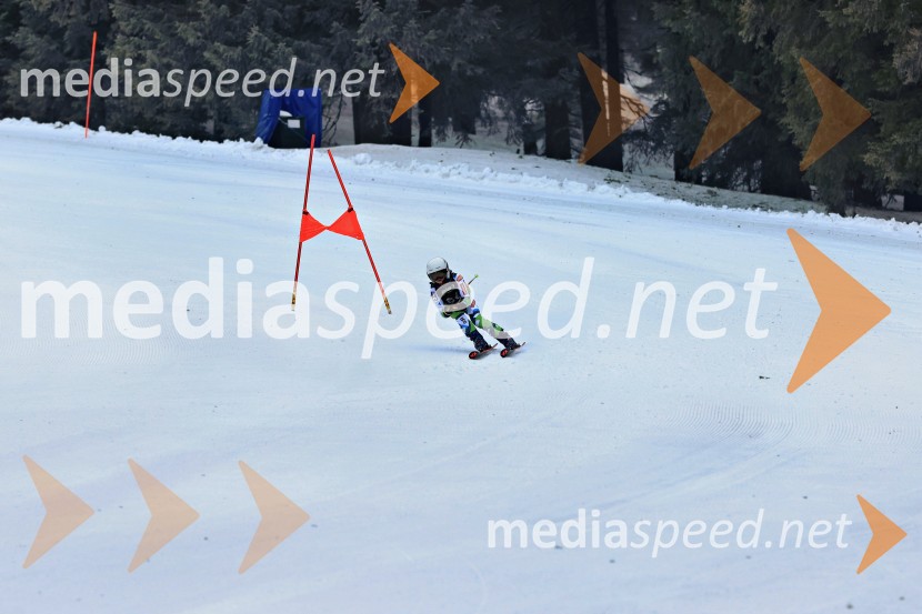 SMUČANJE - SUPER G, U10 in U12, Pokal vzhodne regije, Rogla