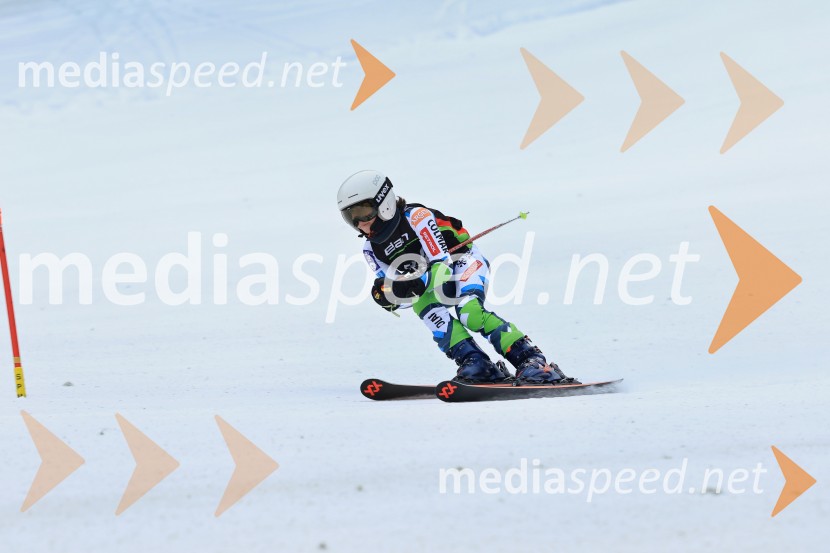 SMUČANJE - SUPER G, U10 in U12, Pokal vzhodne regije, Rogla