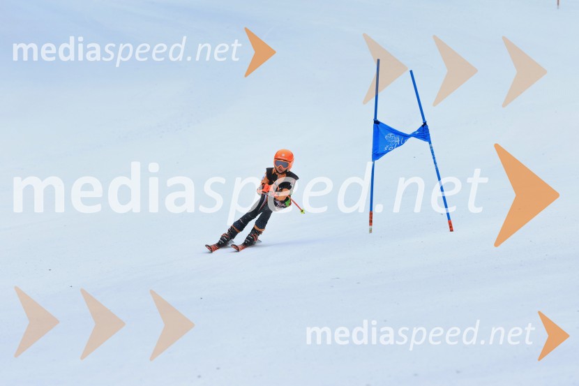 SMUČANJE - SUPER G, U10 in U12, Pokal vzhodne regije, Rogla