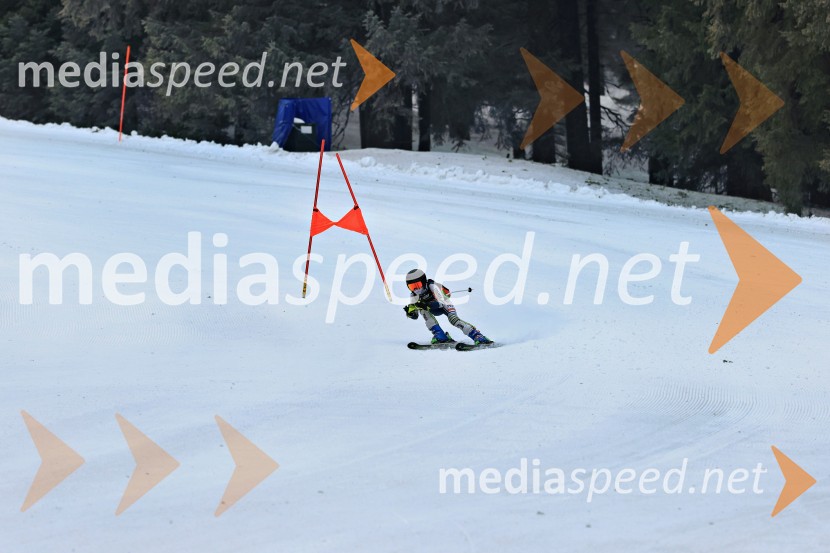 SMUČANJE - SUPER G, U10 in U12, Pokal vzhodne regije, Rogla