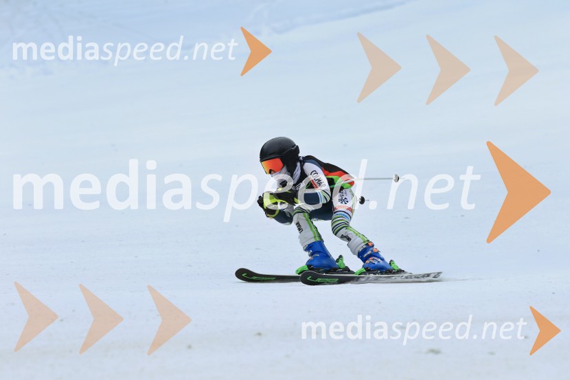 SMUČANJE - SUPER G, U10 in U12, Pokal vzhodne regije, Rogla