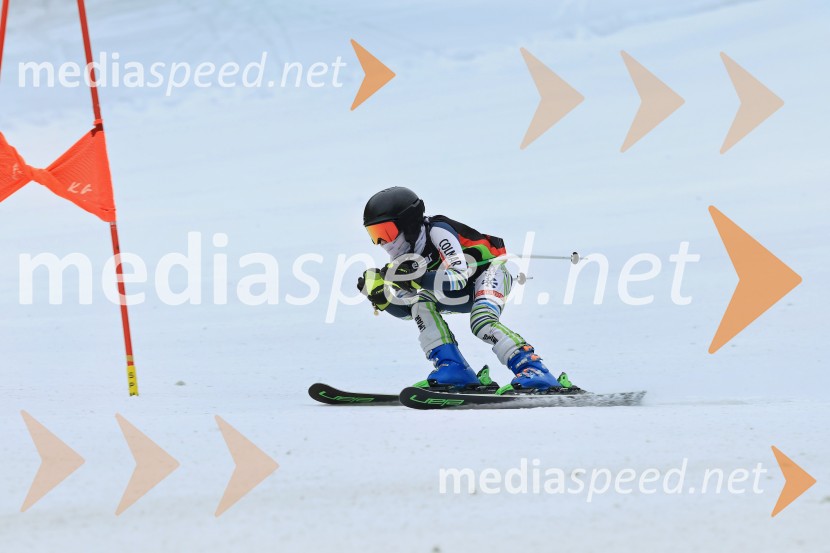 SMUČANJE - SUPER G, U10 in U12, Pokal vzhodne regije, Rogla