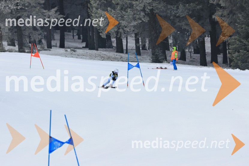 SMUČANJE - SUPER G, U10 in U12, Pokal vzhodne regije, Rogla