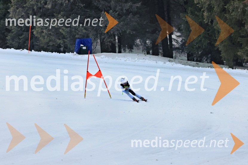 SMUČANJE - SUPER G, U10 in U12, Pokal vzhodne regije, Rogla