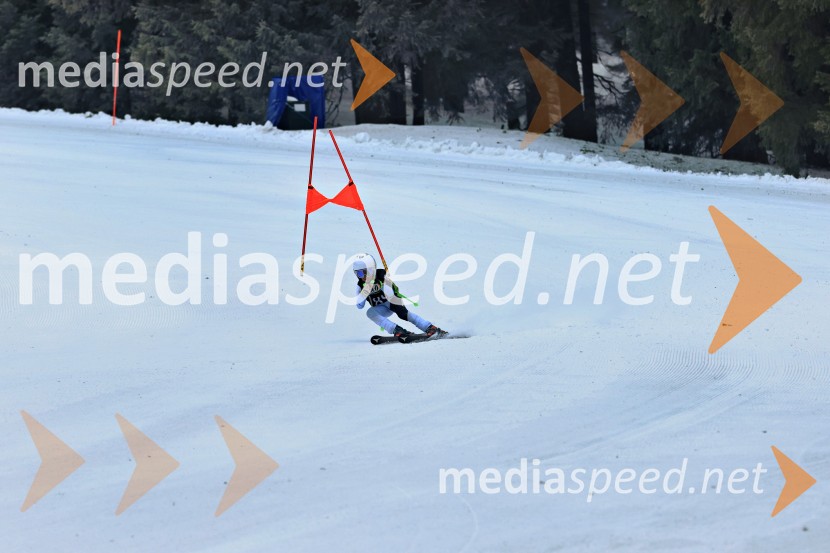 SMUČANJE - SUPER G, U10 in U12, Pokal vzhodne regije, Rogla