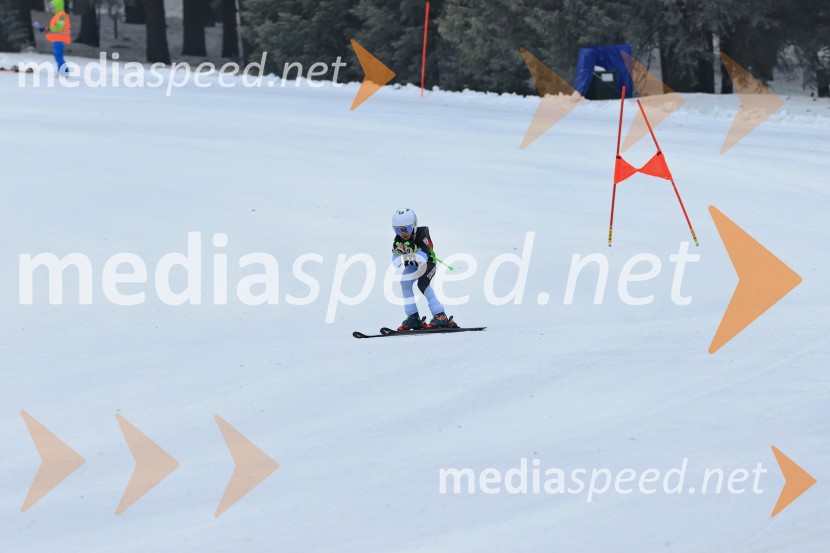 SMUČANJE - SUPER G, U10 in U12, Pokal vzhodne regije, Rogla