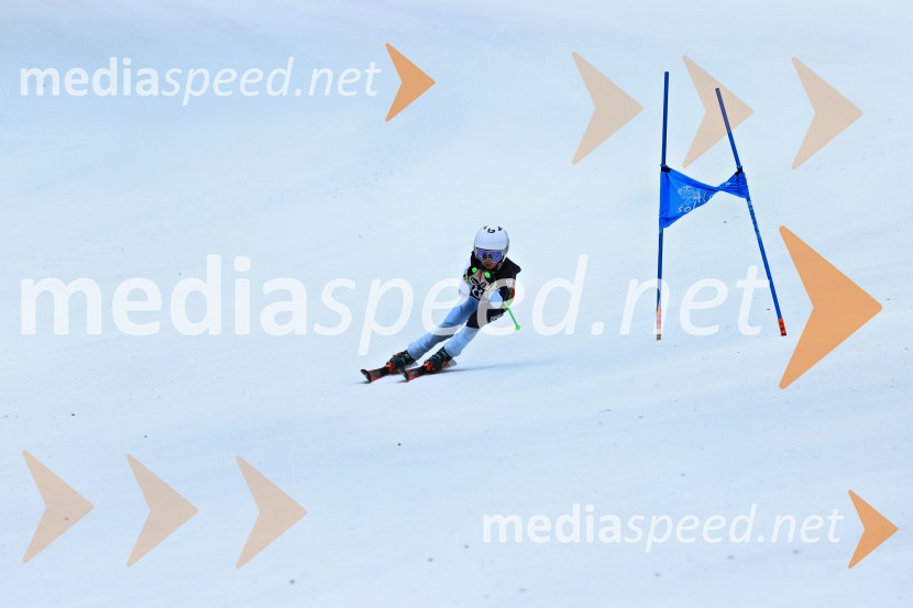 SMUČANJE - SUPER G, U10 in U12, Pokal vzhodne regije, Rogla