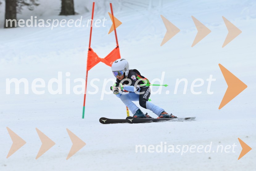 SMUČANJE - SUPER G, U10 in U12, Pokal vzhodne regije, Rogla