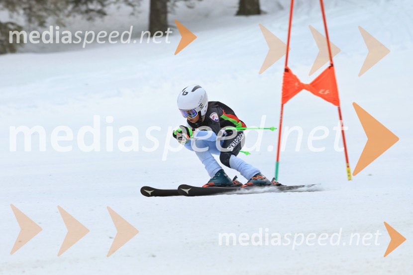 SMUČANJE - SUPER G, U10 in U12, Pokal vzhodne regije, Rogla
