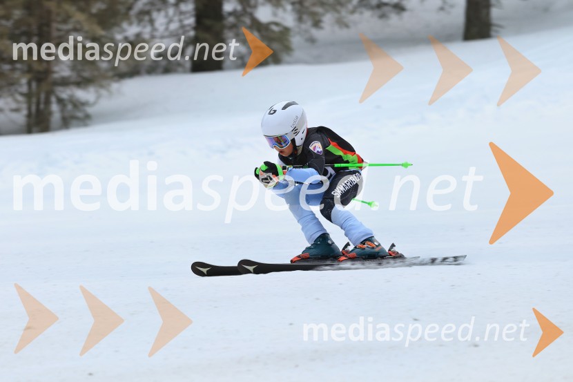SMUČANJE - SUPER G, U10 in U12, Pokal vzhodne regije, Rogla