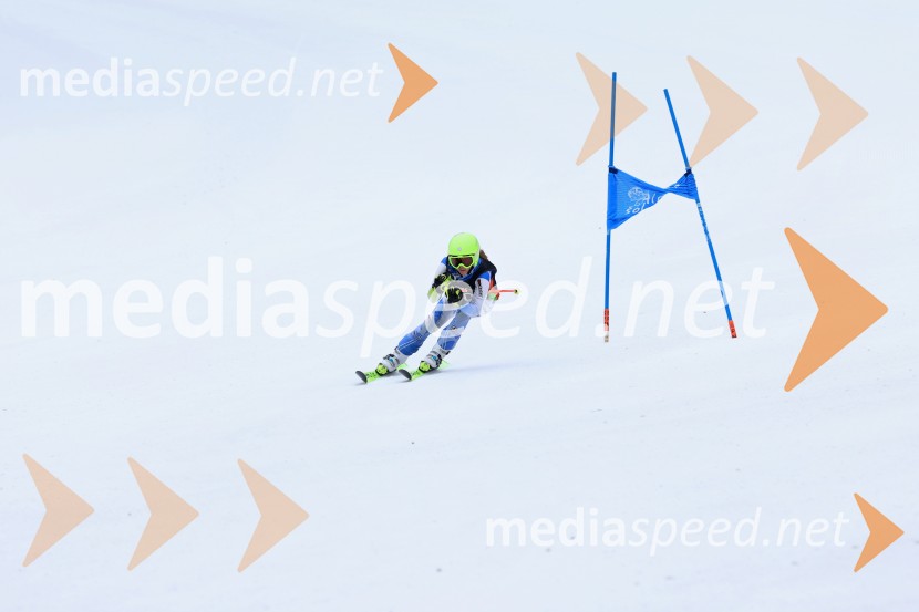 SMUČANJE - SUPER G, U10 in U12, Pokal vzhodne regije, Rogla