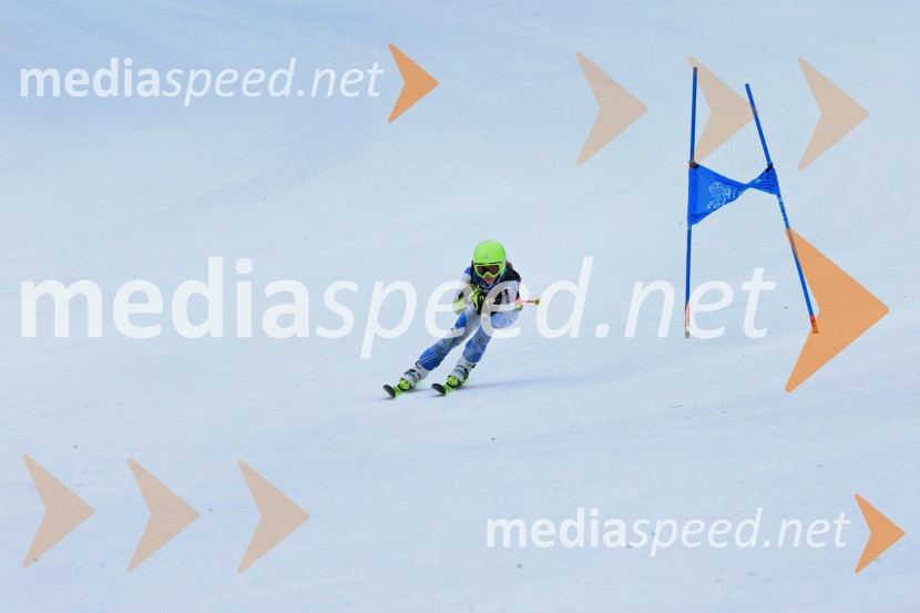 SMUČANJE - SUPER G, U10 in U12, Pokal vzhodne regije, Rogla