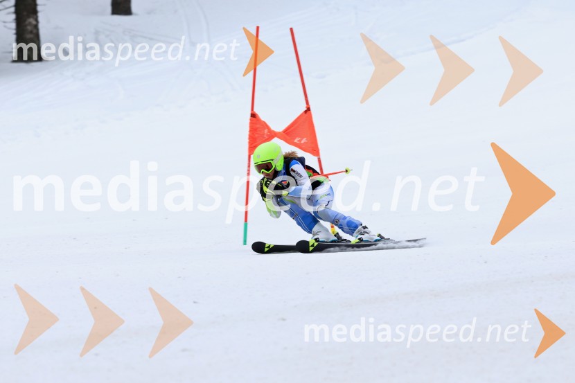 SMUČANJE - SUPER G, U10 in U12, Pokal vzhodne regije, Rogla