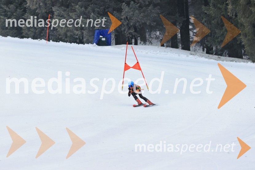 SMUČANJE - SUPER G, U10 in U12, Pokal vzhodne regije, Rogla