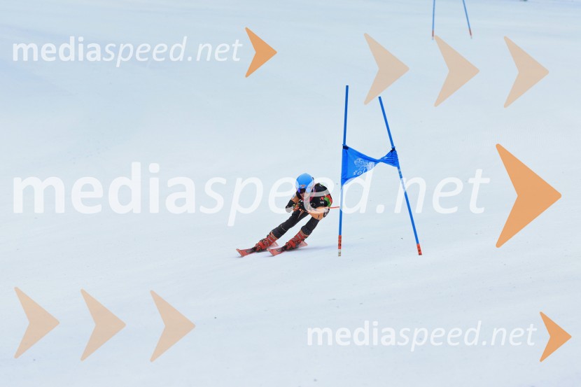 SMUČANJE - SUPER G, U10 in U12, Pokal vzhodne regije, Rogla