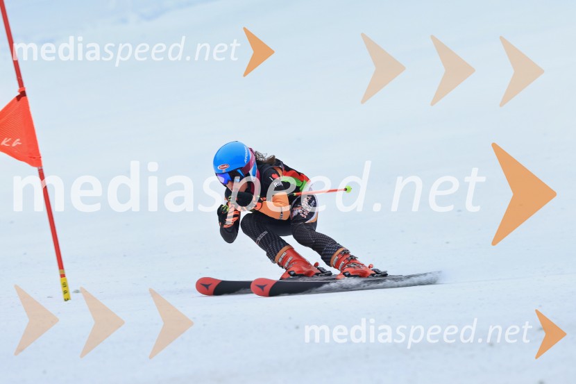 SMUČANJE - SUPER G, U10 in U12, Pokal vzhodne regije, Rogla