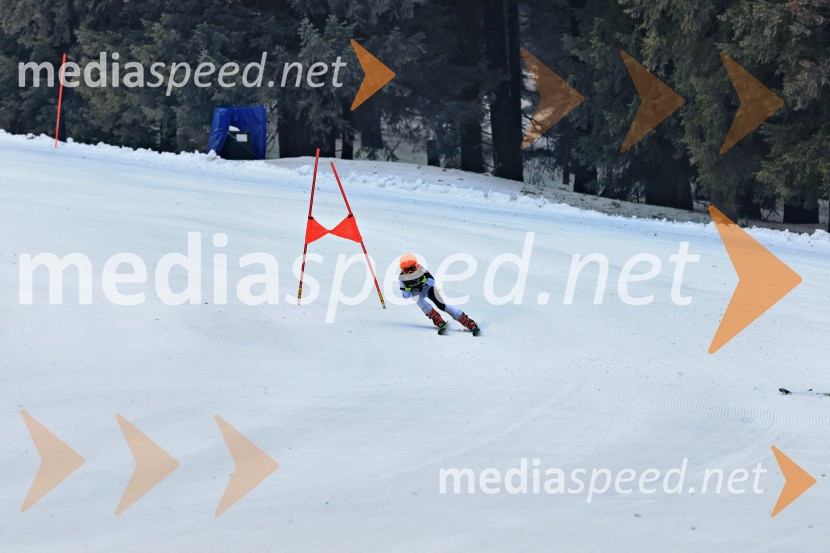 SMUČANJE - SUPER G, U10 in U12, Pokal vzhodne regije, Rogla