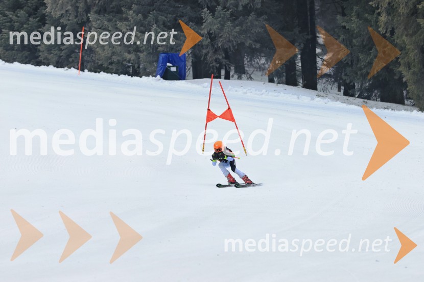 SMUČANJE - SUPER G, U10 in U12, Pokal vzhodne regije, Rogla