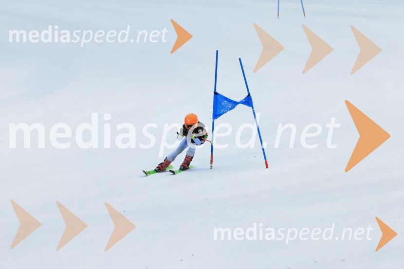 SMUČANJE - SUPER G, U10 in U12, Pokal vzhodne regije, Rogla