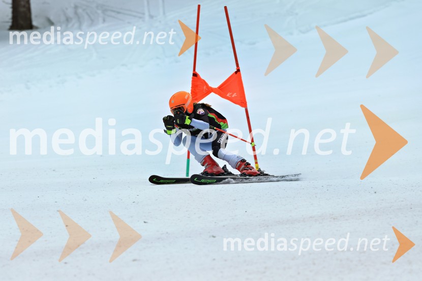 SMUČANJE - SUPER G, U10 in U12, Pokal vzhodne regije, Rogla