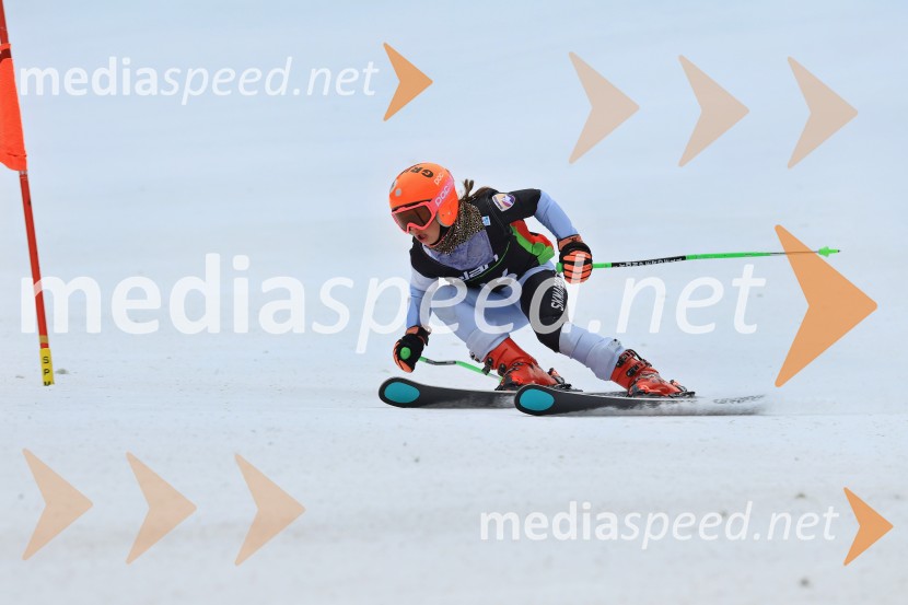 SMUČANJE - SUPER G, U10 in U12, Pokal vzhodne regije, Rogla
