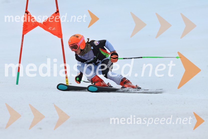 SMUČANJE - SUPER G, U10 in U12, Pokal vzhodne regije, Rogla