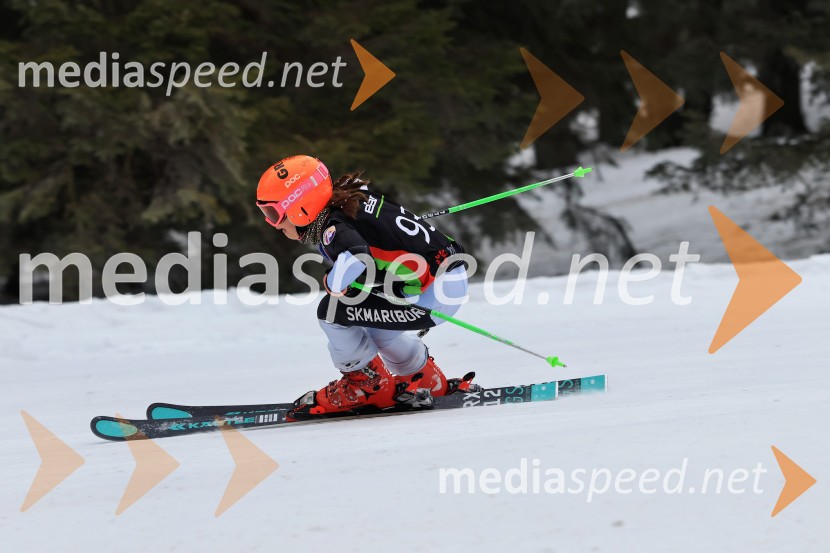 SMUČANJE - SUPER G, U10 in U12, Pokal vzhodne regije, Rogla