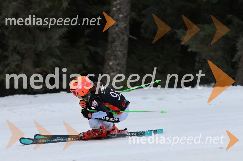 SMUČANJE - SUPER G, U10 in U12, Pokal vzhodne regije, Rogla