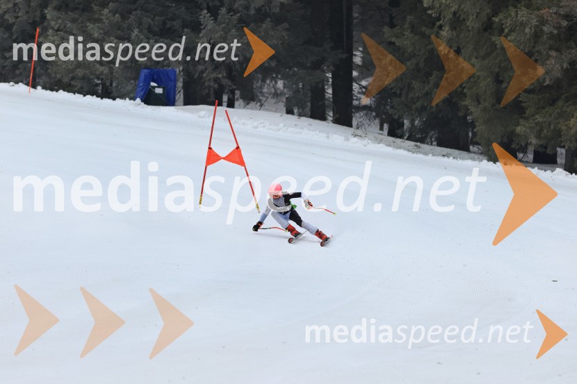SMUČANJE - SUPER G, U10 in U12, Pokal vzhodne regije, Rogla
