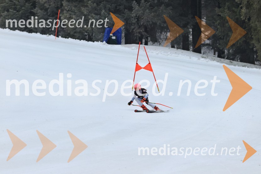 SMUČANJE - SUPER G, U10 in U12, Pokal vzhodne regije, Rogla