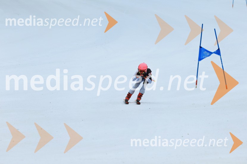 SMUČANJE - SUPER G, U10 in U12, Pokal vzhodne regije, Rogla