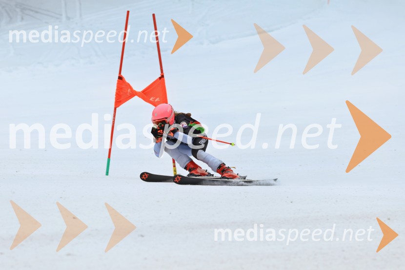 SMUČANJE - SUPER G, U10 in U12, Pokal vzhodne regije, Rogla