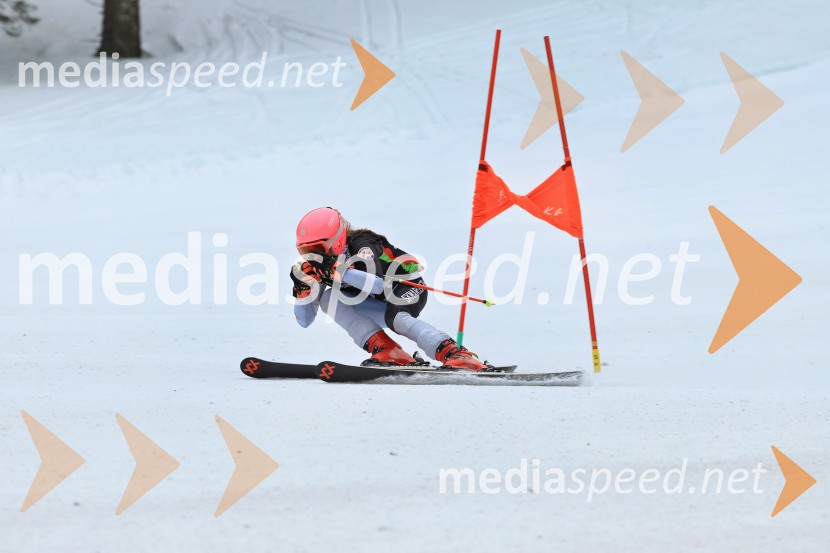 SMUČANJE - SUPER G, U10 in U12, Pokal vzhodne regije, Rogla
