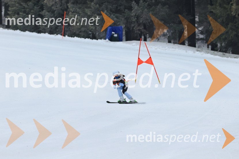 SMUČANJE - SUPER G, U10 in U12, Pokal vzhodne regije, Rogla