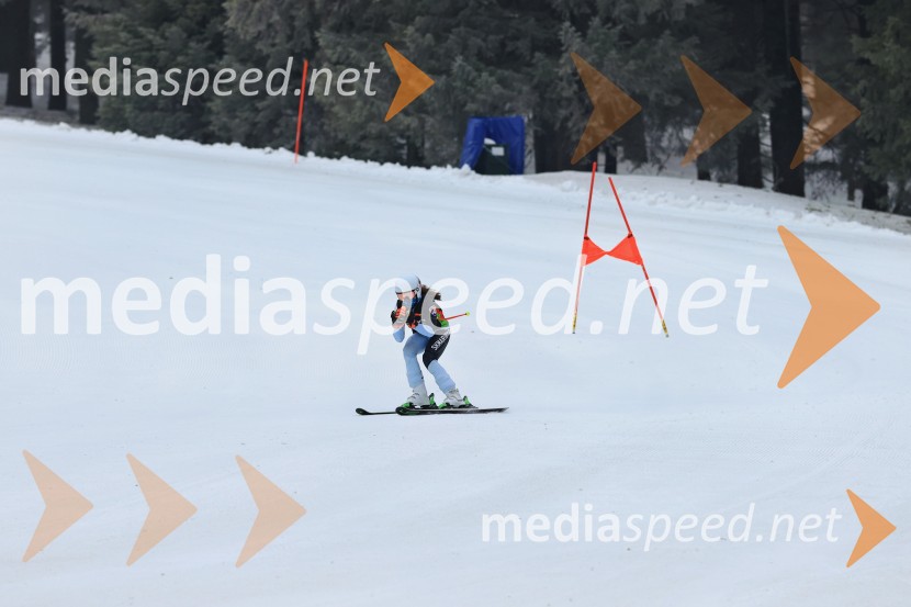 SMUČANJE - SUPER G, U10 in U12, Pokal vzhodne regije, Rogla