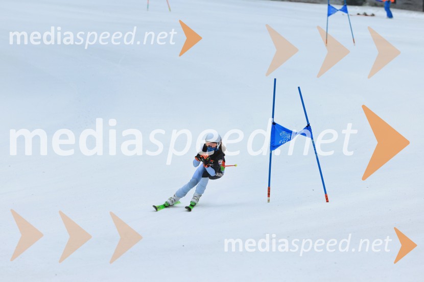 SMUČANJE - SUPER G, U10 in U12, Pokal vzhodne regije, Rogla