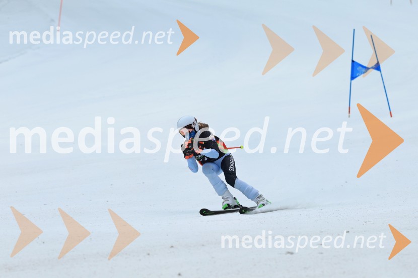 SMUČANJE - SUPER G, U10 in U12, Pokal vzhodne regije, Rogla