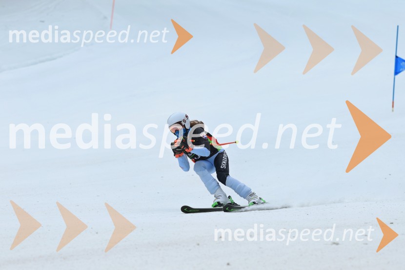 SMUČANJE - SUPER G, U10 in U12, Pokal vzhodne regije, Rogla