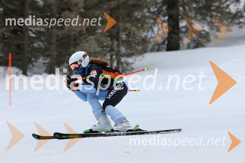 SMUČANJE - SUPER G, U10 in U12, Pokal vzhodne regije, Rogla