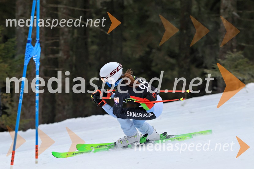 SMUČANJE - SUPER G, U10 in U12, Pokal vzhodne regije, Rogla