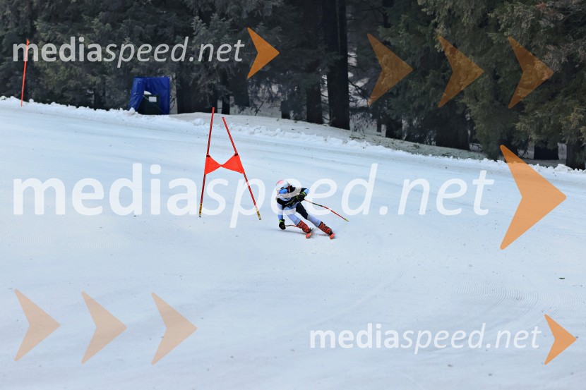 SMUČANJE - SUPER G, U10 in U12, Pokal vzhodne regije, Rogla