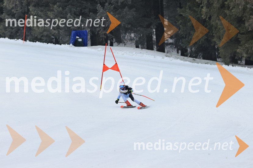SMUČANJE - SUPER G, U10 in U12, Pokal vzhodne regije, Rogla