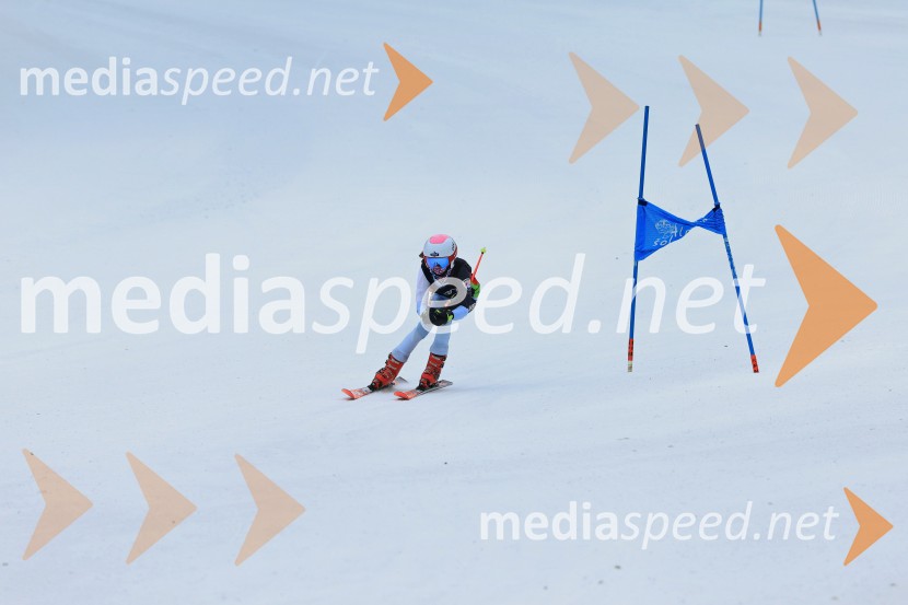 SMUČANJE - SUPER G, U10 in U12, Pokal vzhodne regije, Rogla