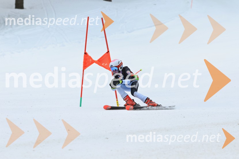SMUČANJE - SUPER G, U10 in U12, Pokal vzhodne regije, Rogla