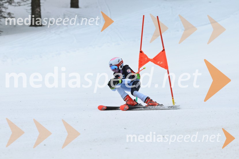 SMUČANJE - SUPER G, U10 in U12, Pokal vzhodne regije, Rogla