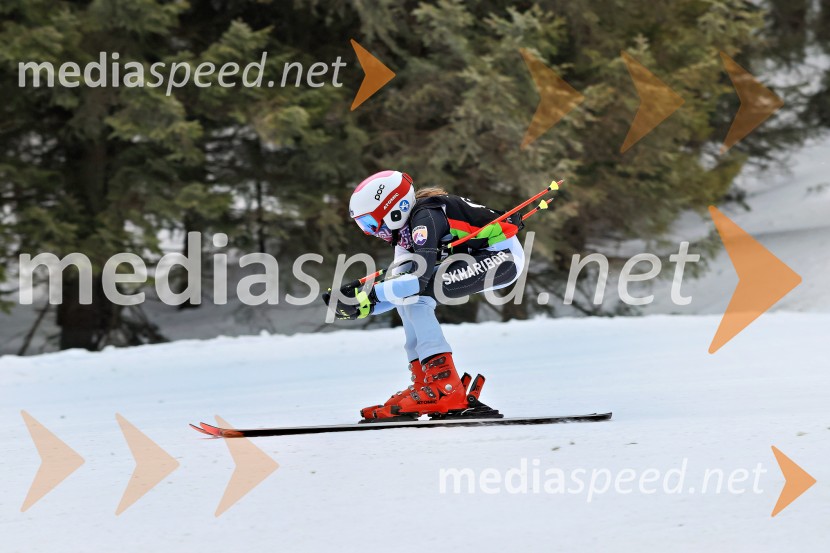 SMUČANJE - SUPER G, U10 in U12, Pokal vzhodne regije, Rogla