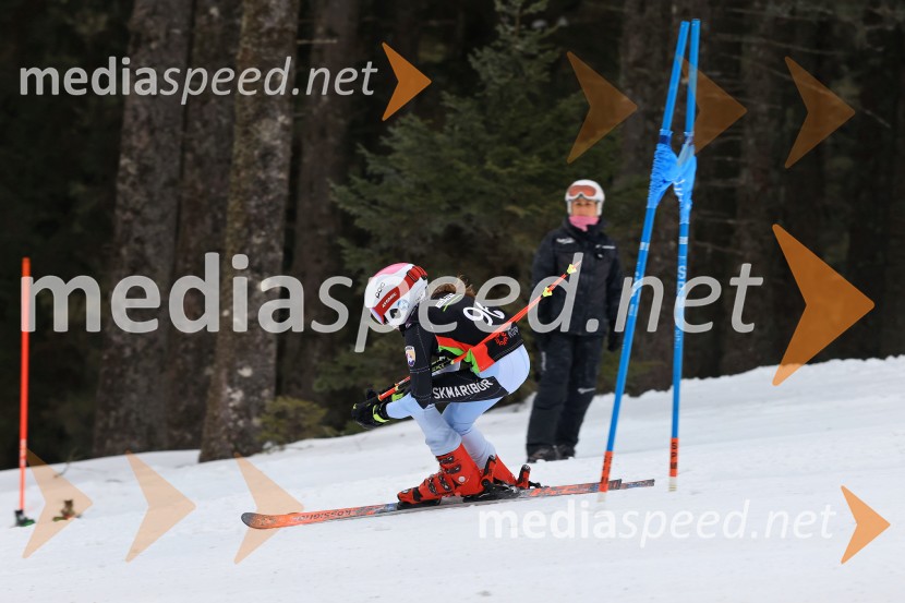 SMUČANJE - SUPER G, U10 in U12, Pokal vzhodne regije, Rogla