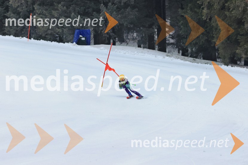 SMUČANJE - SUPER G, U10 in U12, Pokal vzhodne regije, Rogla