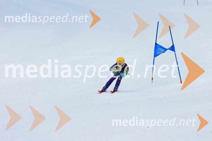 SMUČANJE - SUPER G, U10 in U12, Pokal vzhodne regije, Rogla