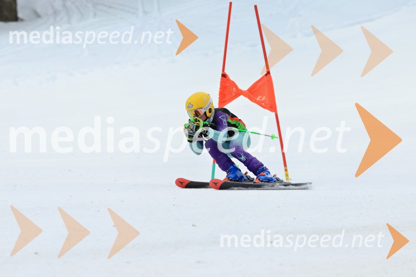 SMUČANJE - SUPER G, U10 in U12, Pokal vzhodne regije, Rogla